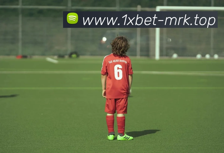 1xbet官网平台生态图